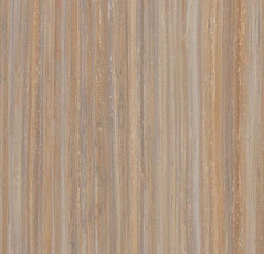 Линолеум Forbo Marmoleum Decibel on Order 522535 compressed time фото 1 | FLOORDEALER